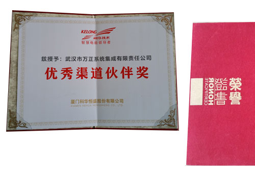 优秀渠道伙伴奖